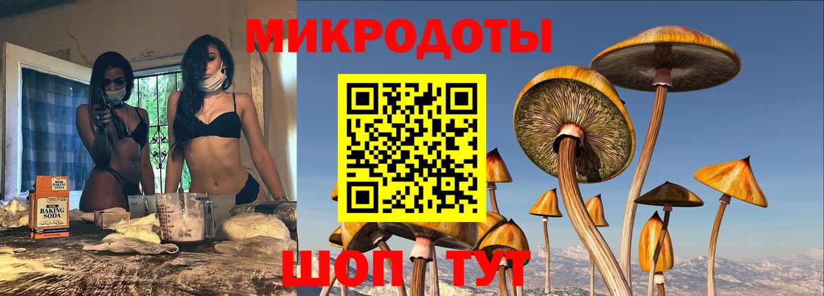 Благодарный  Галлюциногенные грибы Psilocybe  Галлюциногенные грибы Cubensis  Вход с VPN 